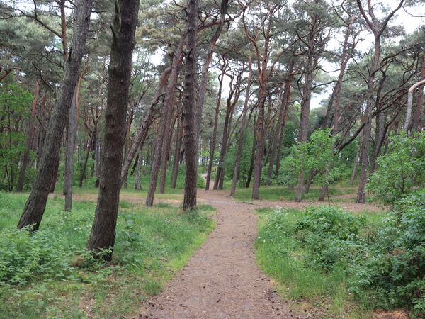 Karwia — plaża i wybrzeże