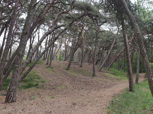 Karwia — nadmorski krajobraz